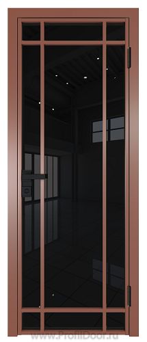 Дверь Profil Doors 5AG стекло Черный Триплекс цвет профиля Бронза